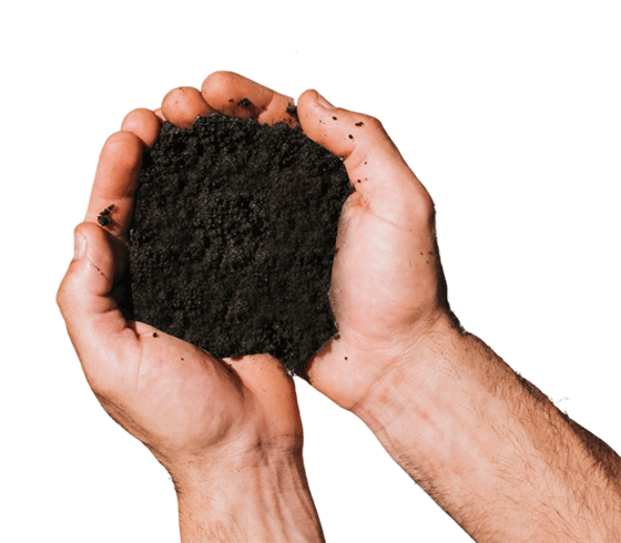 AgroWorld